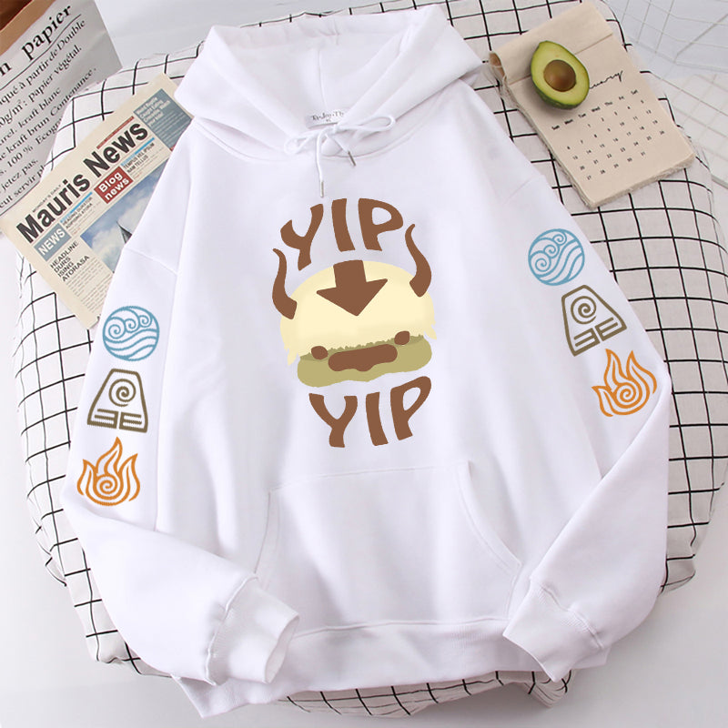 Avatar The Last Airbender Hoodie Men Women Appa YIP Letter Print Long Sleeve 2022 Spring Autumn Black Anime Top Sweatshirt Loose